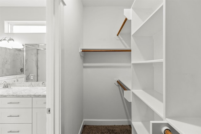 walk in closet with sink