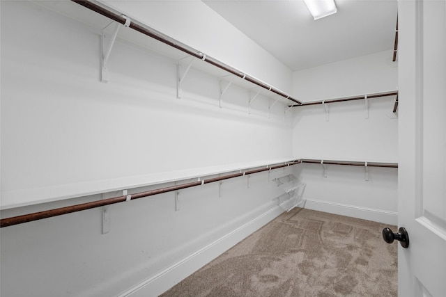 walk in closet with light carpet