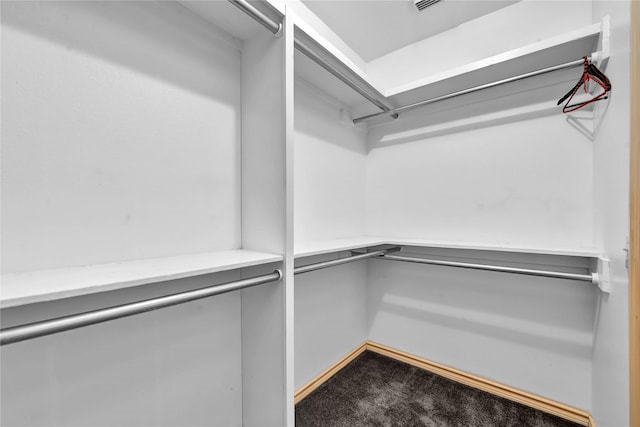 spacious closet featuring carpet