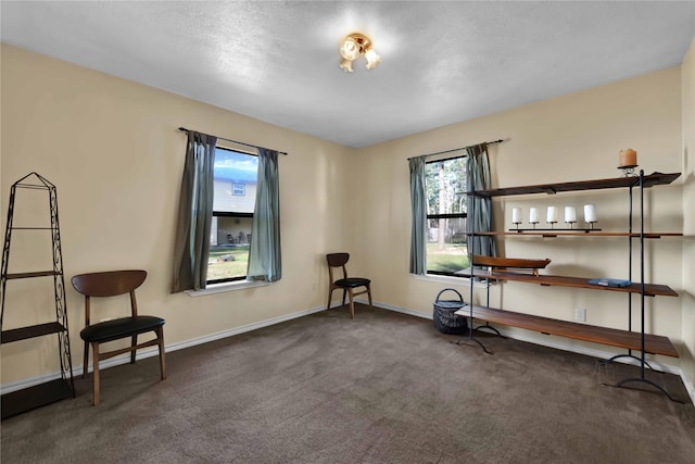 misc room with a textured ceiling and dark carpet