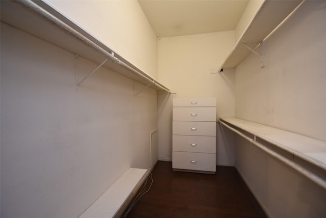 spacious closet featuring dark hardwood / wood-style floors