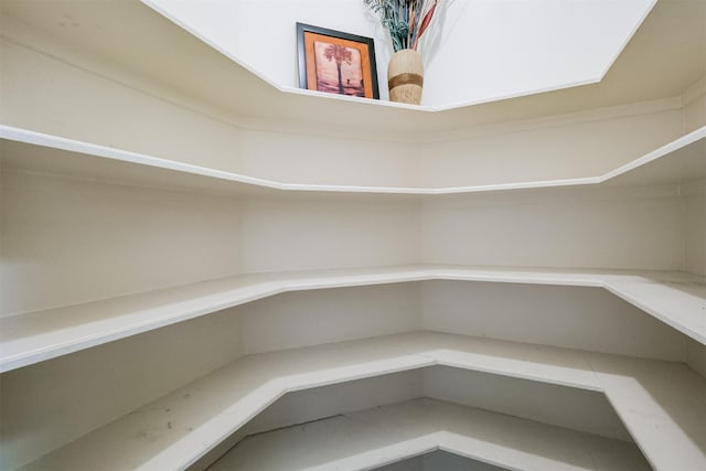 3102 Silver Cedar Trl, Katy, TX 77449 - view of pantry