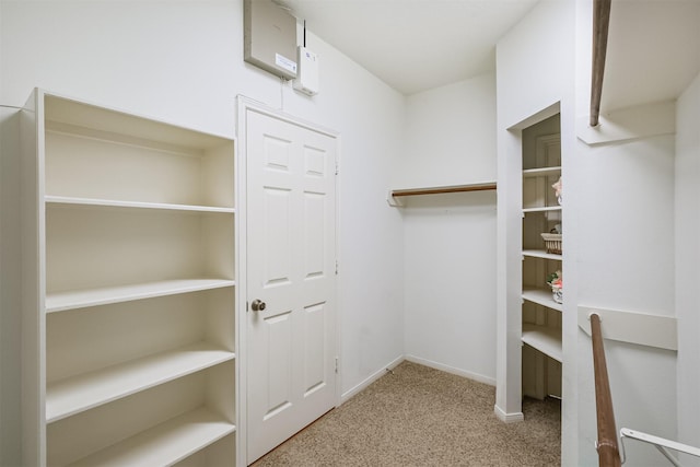 spacious closet featuring light carpet