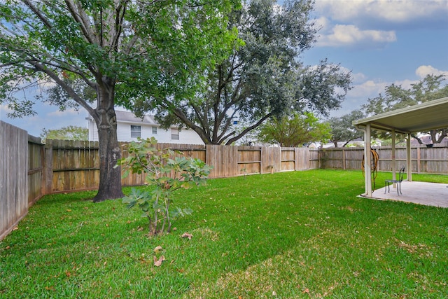 view of yard featuring a patio area