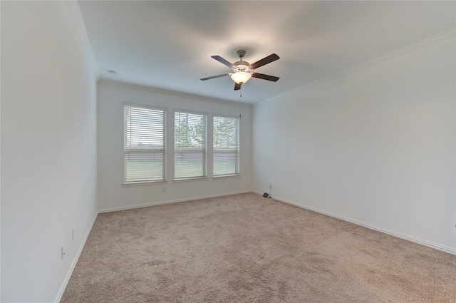 carpeted spare room with ceiling fan and ornamental molding