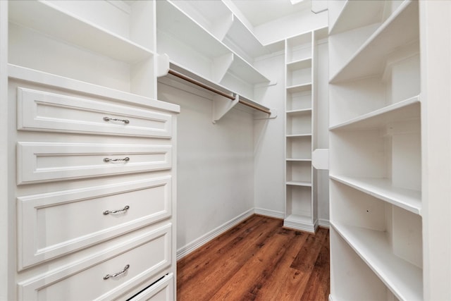 spacious closet with dark hardwood / wood-style flooring