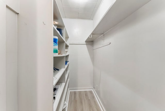 walk in closet featuring light wood-type flooring