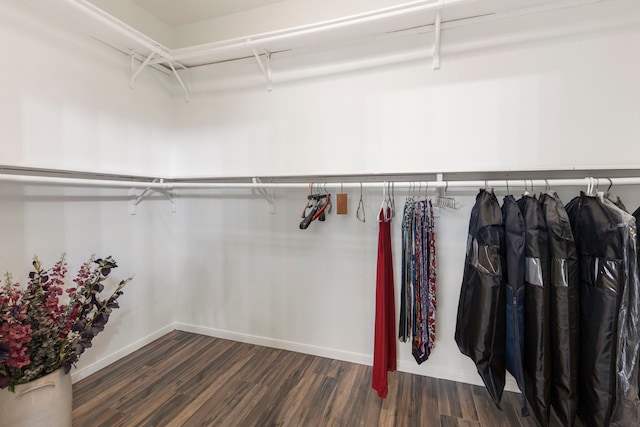 spacious closet with dark wood-type flooring