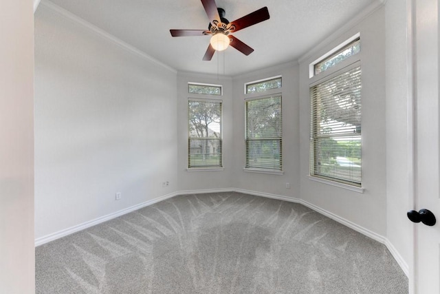 empty room with ceiling fan, crown molding, and carpet flooring