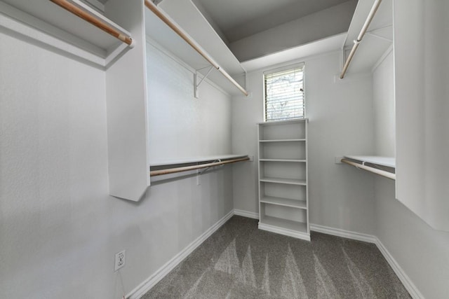 walk in closet featuring dark carpet