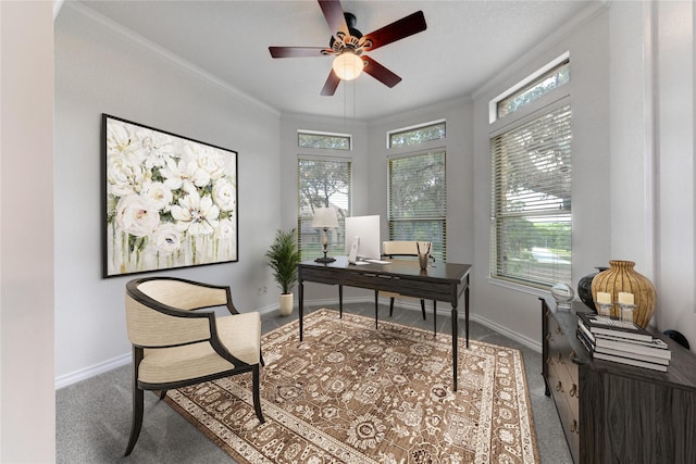 office space with ceiling fan, crown molding, and carpet floors