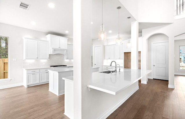 kitchen with white cabinetry, sink, hardwood / wood-style floors, and a center island with sink