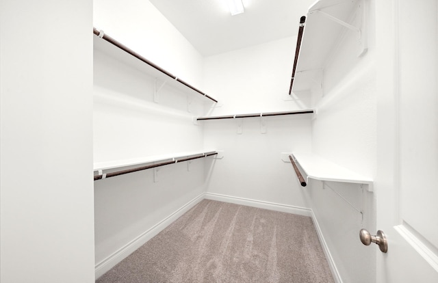 walk in closet featuring light carpet