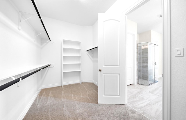 spacious closet featuring light carpet