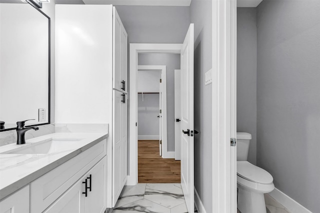 bathroom with vanity, wood-type flooring, and toilet