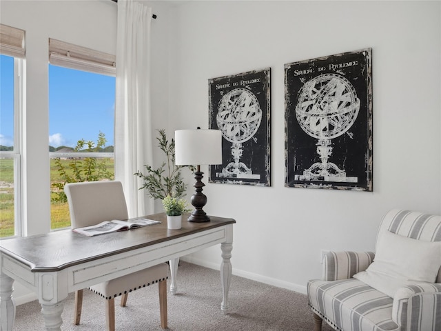 view of carpeted home office