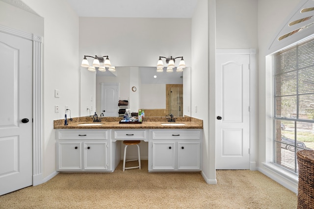 bathroom featuring a shower and vanity