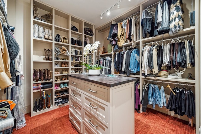 walk in closet with hardwood / wood-style flooring