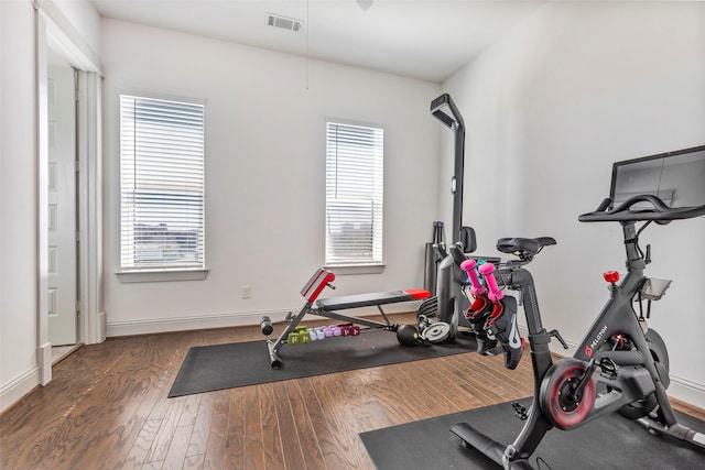 workout room with dark hardwood / wood-style flooring and a wealth of natural light