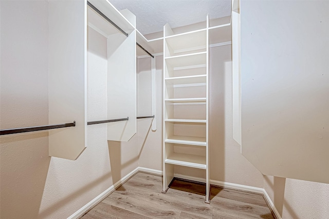 spacious closet featuring wood-type flooring