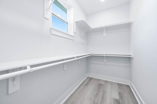 spacious closet with light hardwood / wood-style floors