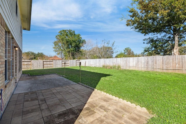 view of yard featuring a patio area