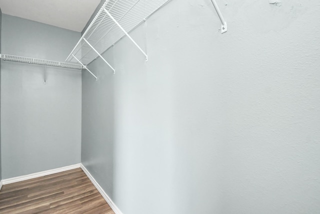 spacious closet featuring hardwood / wood-style flooring