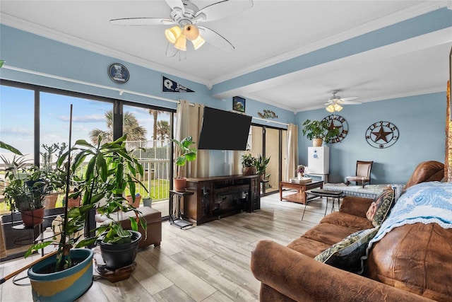 living room with light wood-type flooring, ceiling fan, and crown molding