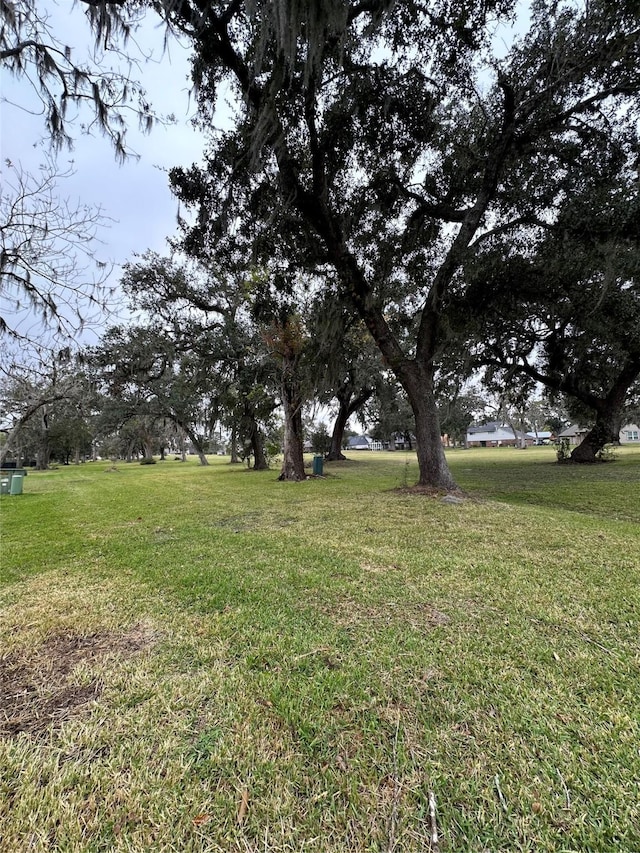 252 Woodhaven Dr, West Columbia TX, 77486 land for sale