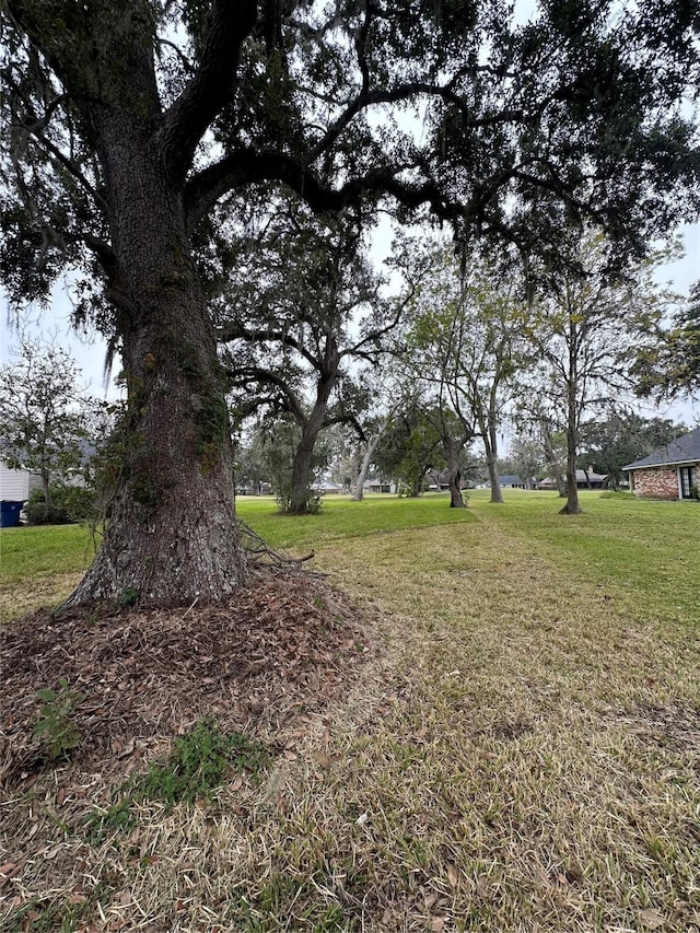 Listing photo 2 for 252 Woodhaven Dr, West Columbia TX 77486