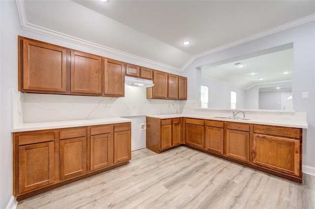 kitchen featuring sink, tasteful backsplash, crown molding, lofted ceiling, and light wood-type flooring