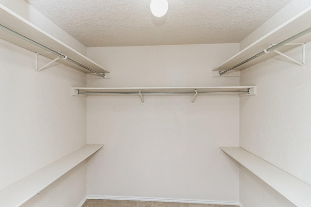 spacious closet with carpet floors