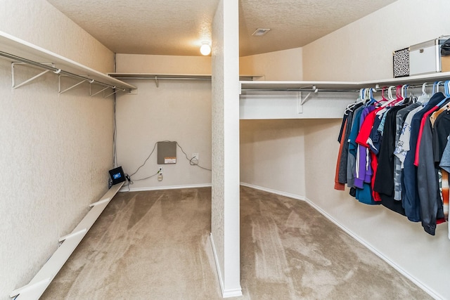 spacious closet featuring carpet