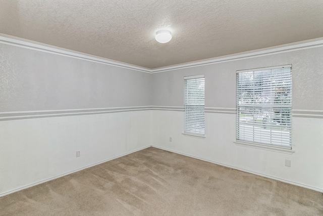 spare room with a textured ceiling and light colored carpet