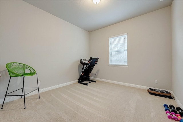 exercise area with light carpet