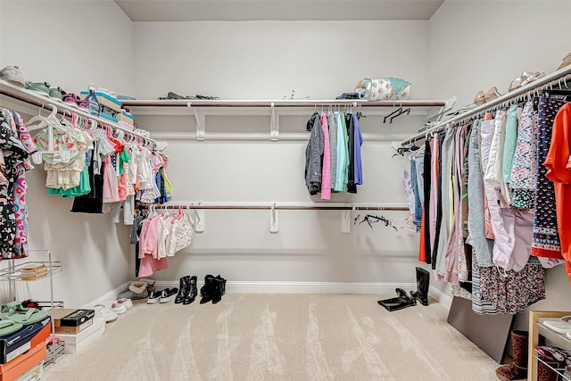 spacious closet featuring carpet