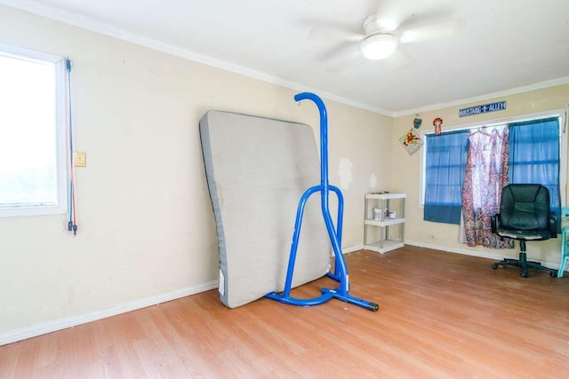 interior space with wood-type flooring and ornamental molding