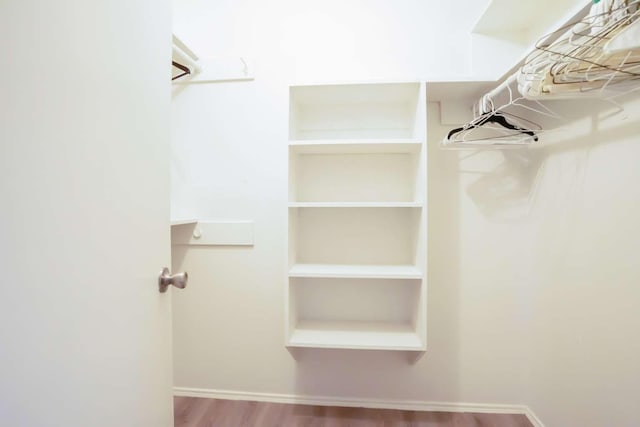 spacious closet featuring wood-type flooring