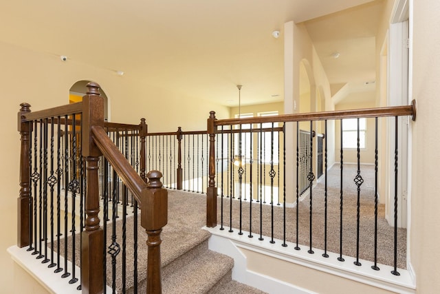 staircase featuring carpet flooring