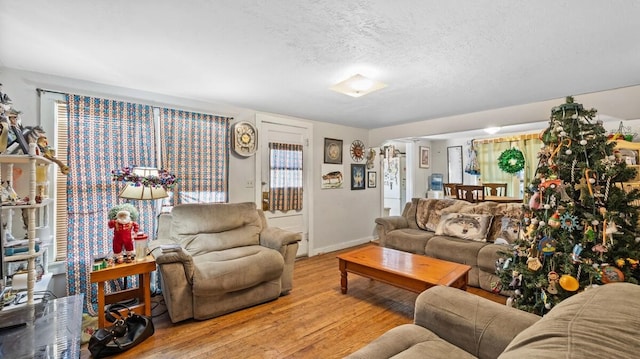 living room featuring a textured ceiling and light hardwood / wood-style flooring