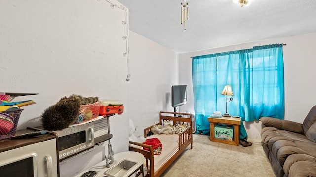 living room featuring light colored carpet