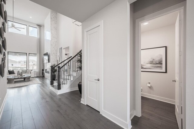 entryway featuring ceiling fan, dark hardwood / wood-style flooring, and a high ceiling