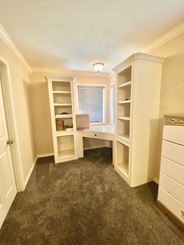 walk in closet with dark colored carpet