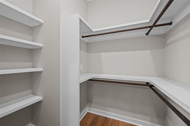 walk in closet featuring dark hardwood / wood-style flooring