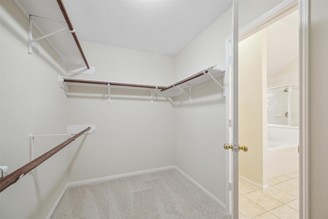 spacious closet featuring light carpet