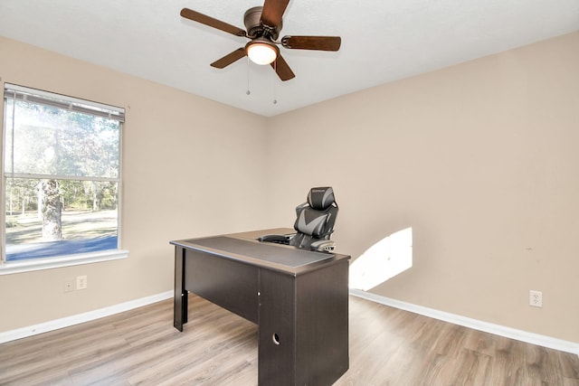 office featuring ceiling fan and light wood-type flooring