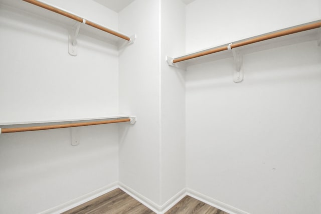 walk in closet with hardwood / wood-style flooring