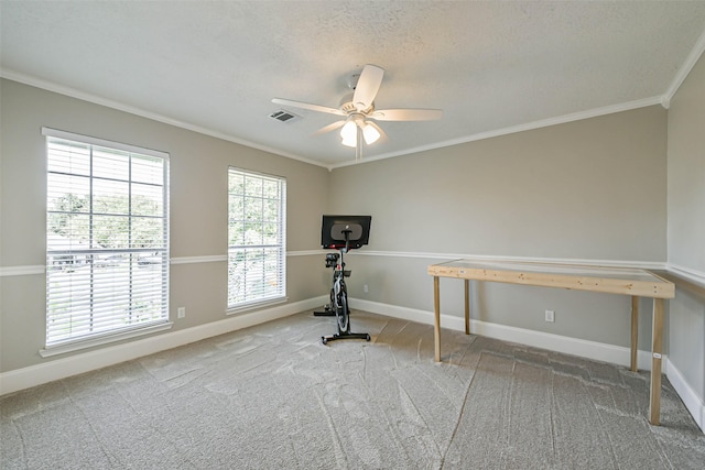 workout room featuring a healthy amount of sunlight and carpet floors