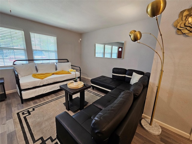 living room with hardwood / wood-style flooring