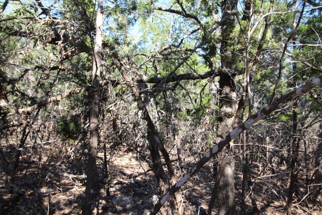 357 Big Bend Dr, Canyon Lake, TX 78133 - photo 4